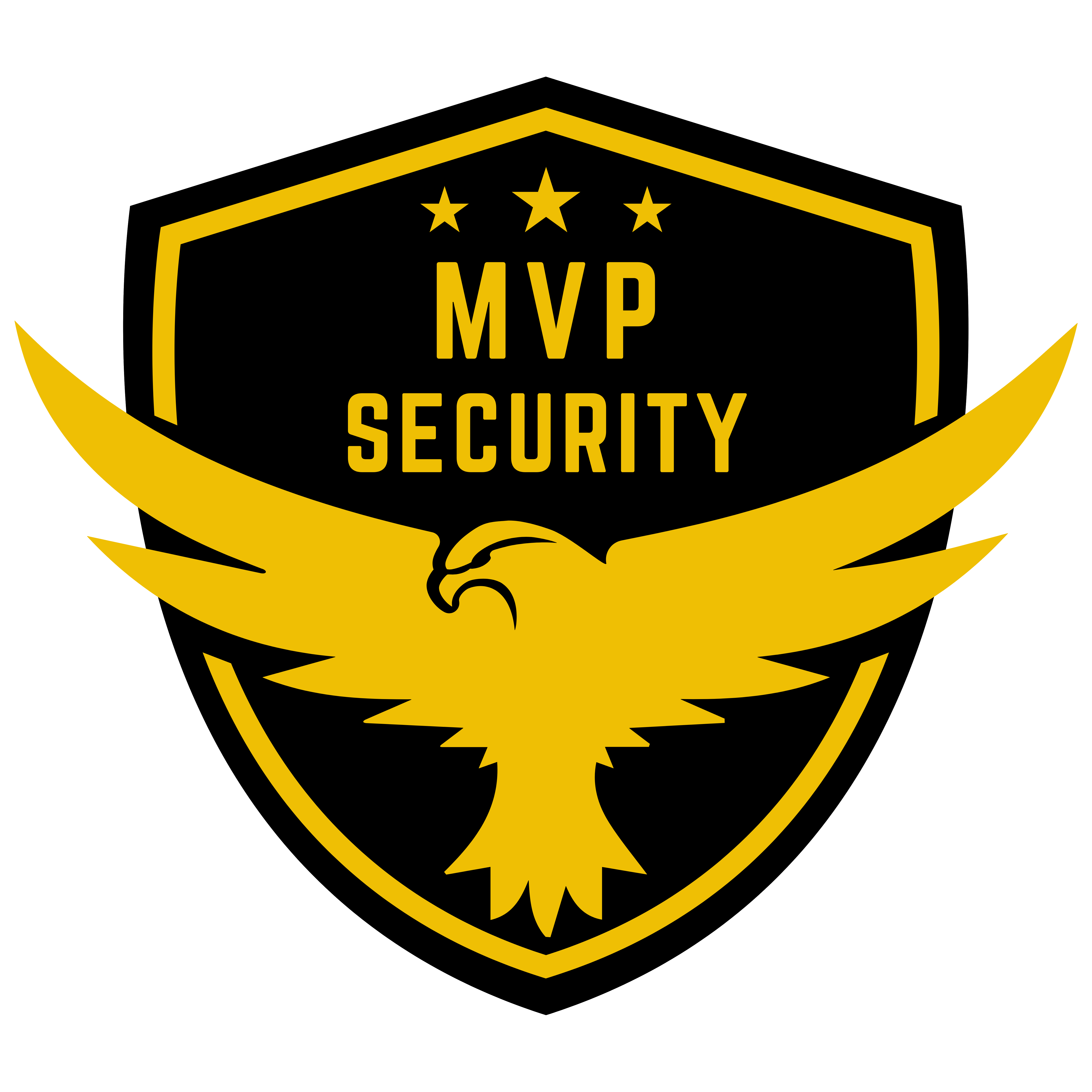 MVP SECURITY INC